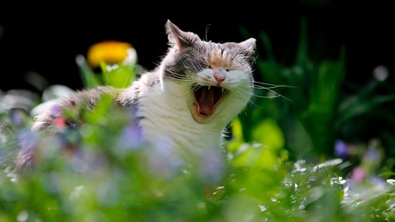 El Tiempo en la Comunidad de Madrid - 20/04/18