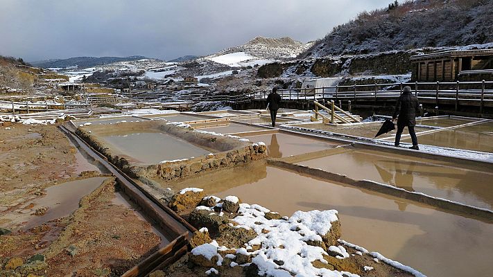 Telediario 1 - Las salinas de Añana y la uva pasa de la Axarquía, patrimonio agrícola mundial por la FAO