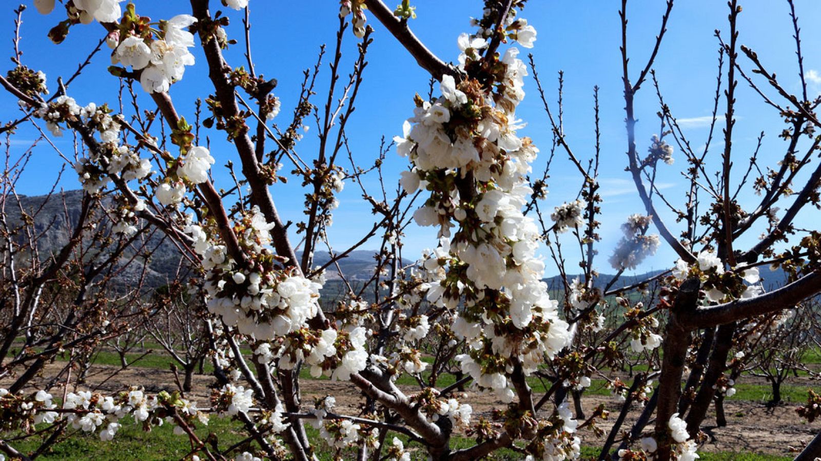 Los termómetros rozarán los 30 grados y cinco provincias estarán en alerta por lluvia, oleaje o viento