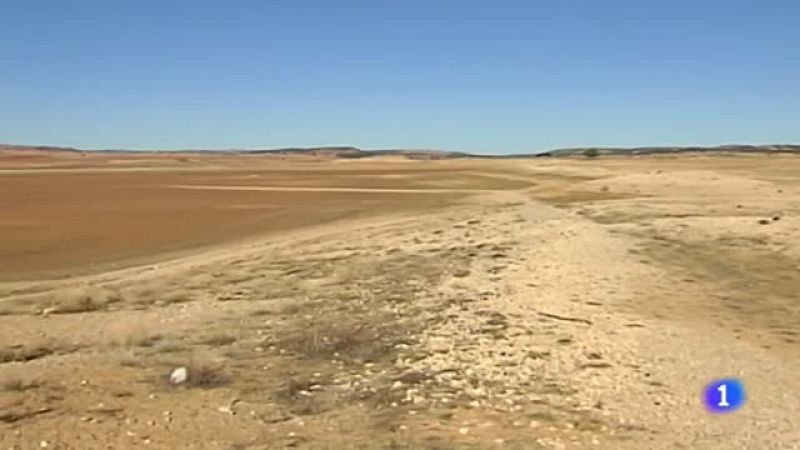 Se celebra el Día de la Tierra