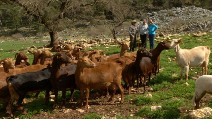 Aquí la Tierra - Quesos al cuadrado