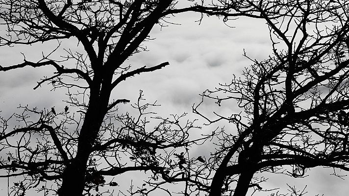 Informativo de Madrid - El Tiempo en la Comunidad de Madrid - 23/04/18