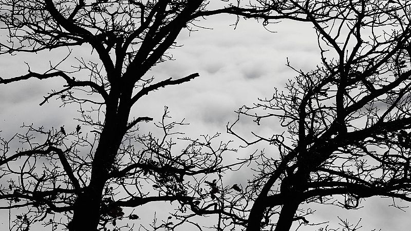 El Tiempo en la Comunidad de Madrid - 23/04/18