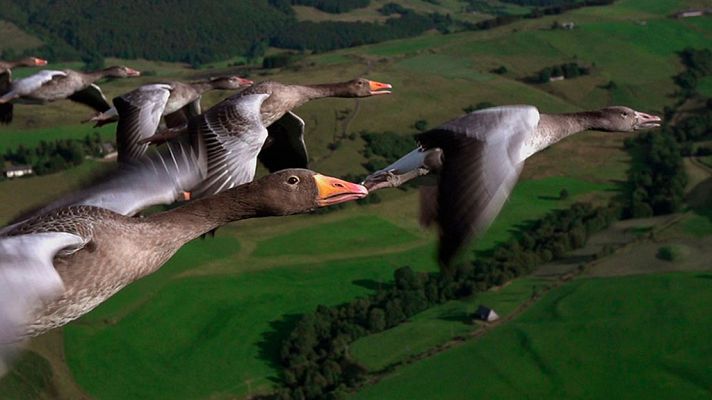 Grandes documentales - La Francia salvaje. Episodio 1