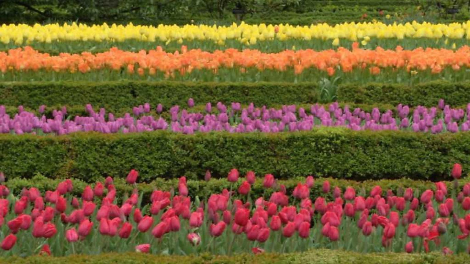 Aquí la Tierra - 23/04/18 - ver ahora