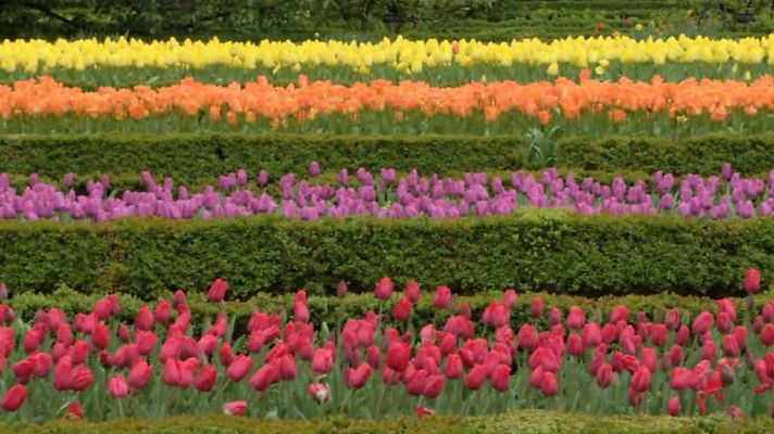 Aquí la Tierra - Aquí la Tierra - 23/04/18