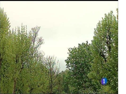 Panorama Regional - El tiempo en Asturias - 25/04/18