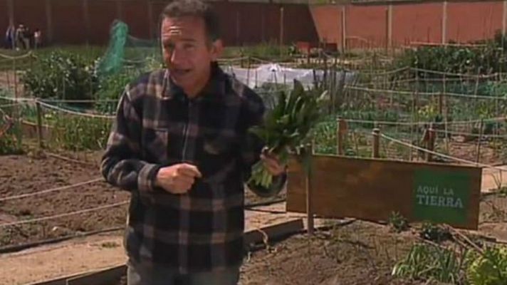 Aquí la Tierra - ¿Habrá resultado nuestro experimento?