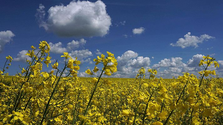 Informativo de Madrid - El Tiempo en la Comunidad de Madrid - 26/04/18