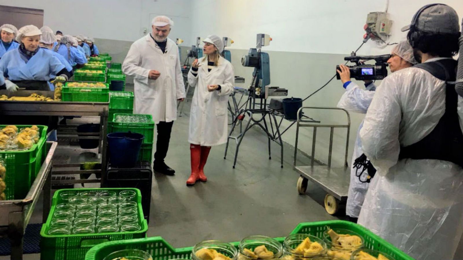 Así se conservan las alcachofas