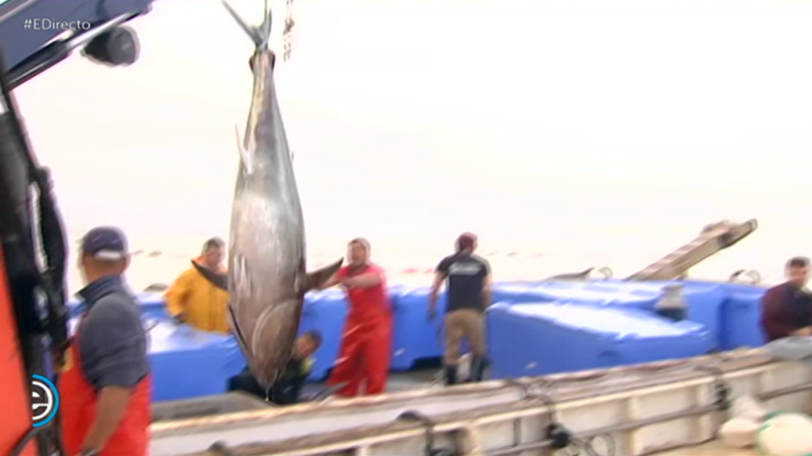 España Directo - 26/04/18 - ver ahora