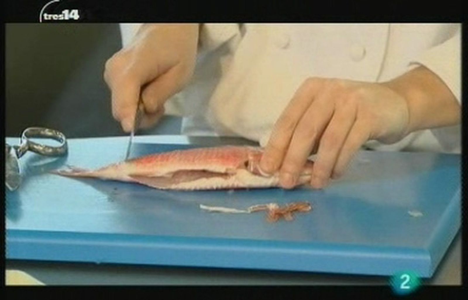 Cocina cardiosaludable (Corazón)