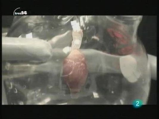 tres14 - Últimas noticias