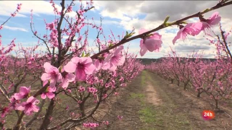 Repor - De flor en flor - Víctor Ibars y su familia han arreglado la masía para ofrecer "calçotadas" a los turistas