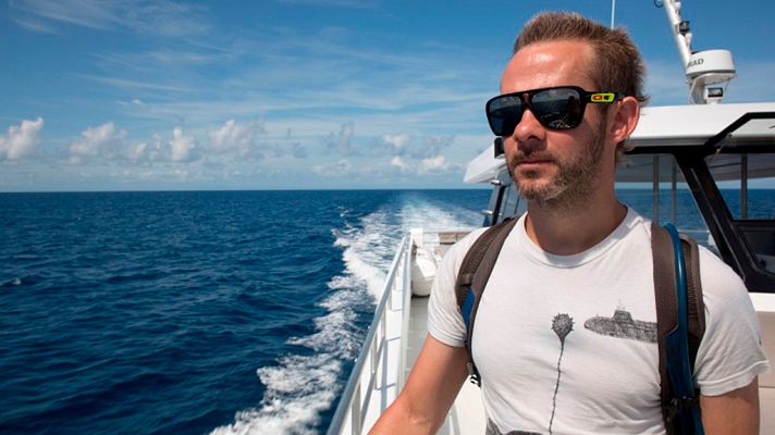 Otros documentales - Criaturas salvajes con Dominic Monaghan: cubo de medusa