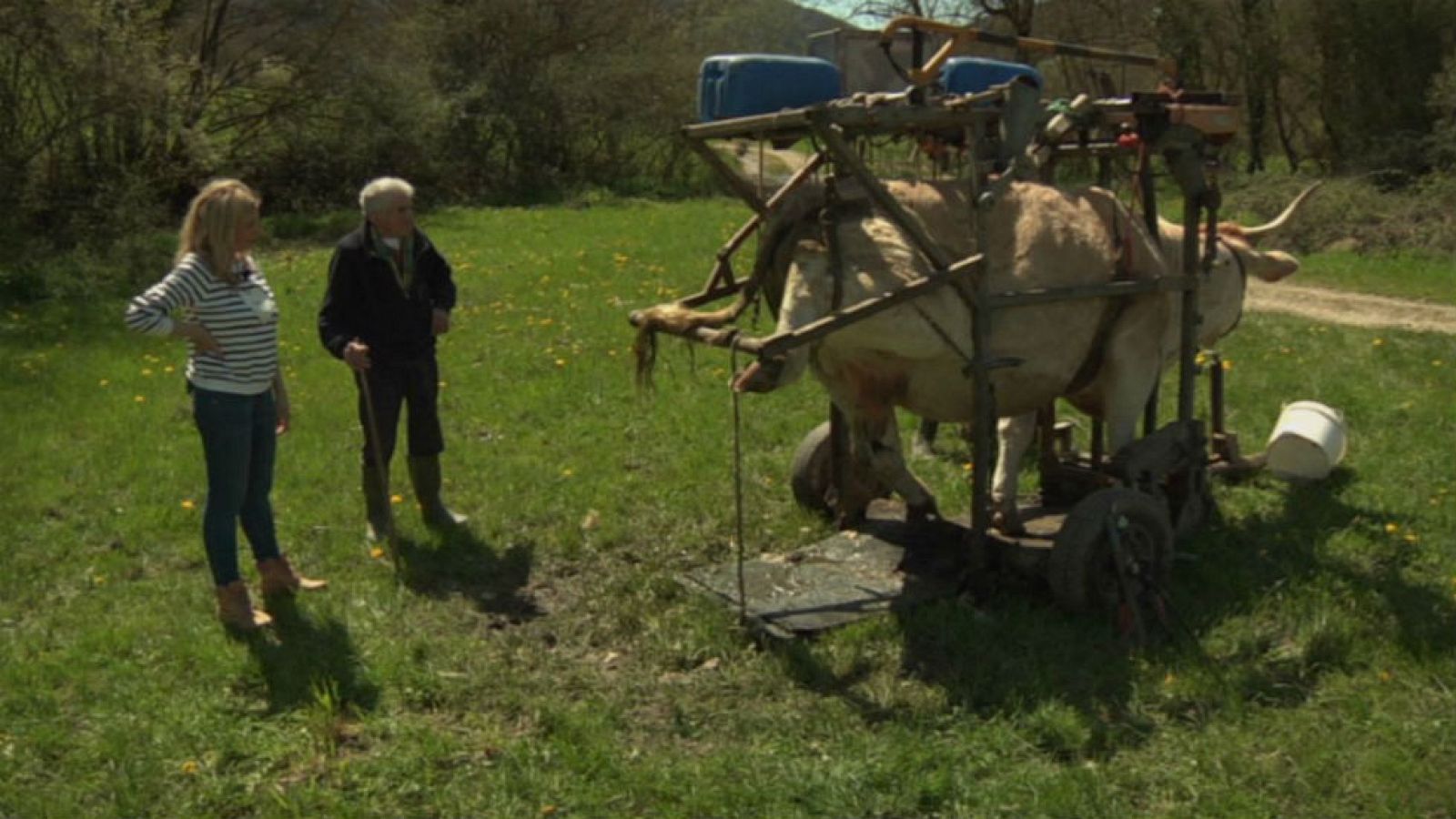 Veterinario rural por vocación