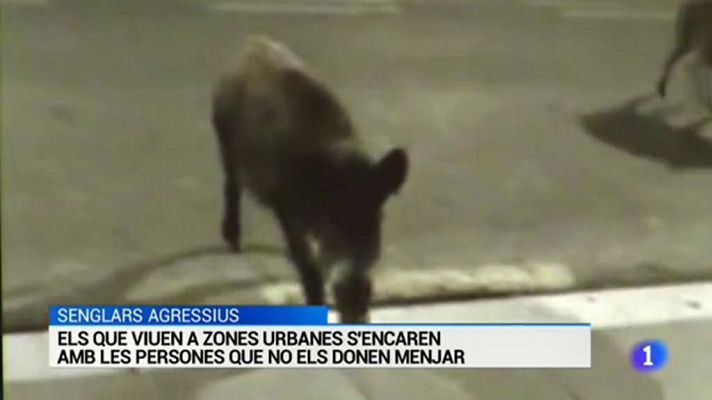 L'Informatiu - L'informatiu - 02/05/2018