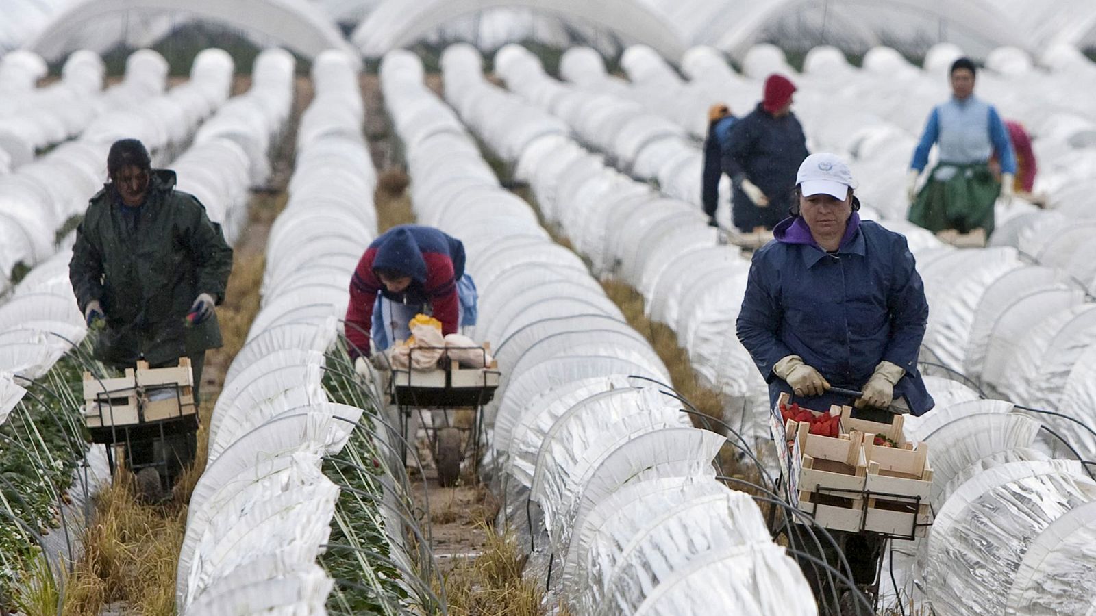 Bruselas quiere reducir los fondos de cohesión y los de apoyo a la PAC en los nuevos presupuestos