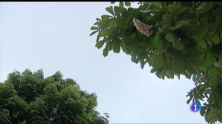Panorama Regional - El tiempo en Asturias - 03/05/18