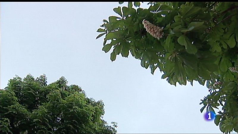 El tiempo en Asturias - 03/05/18 | Ver