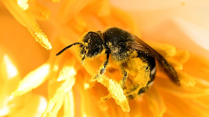 El tiempo - Intervalos de viento fuerte en Navarra, nordeste peninsular y Menorca