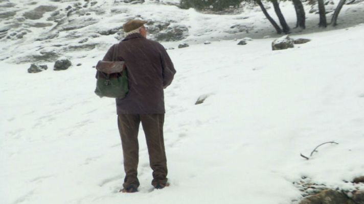 Aquí la Tierra - Las escenas míticas de Félix Rodríguez de la Fuente