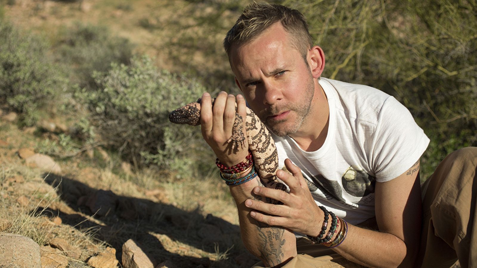 Otros documentales - Criaturas salvajes con Dominic Monaghan: Arizona - ver ahora