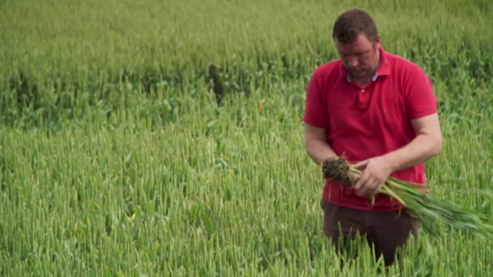 Agrosfera - 05/05/18 - ver ahora