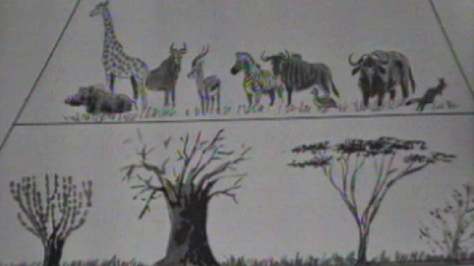 El planeta azul - Los herbívoros (I)