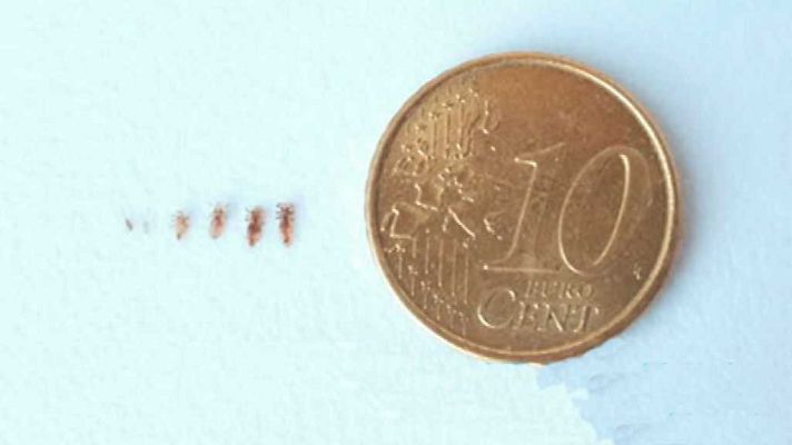 Saber vivir - Saber vivir - 07/05/18