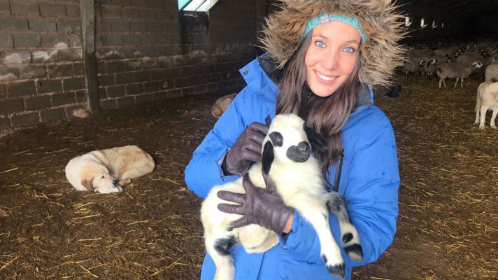 Aquí la Tierra - Queso de oveja churra