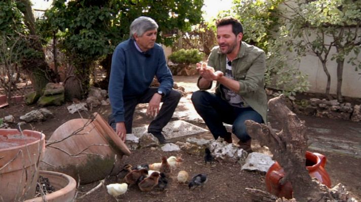 Aquí la Tierra - El proceso de huevo a pollito