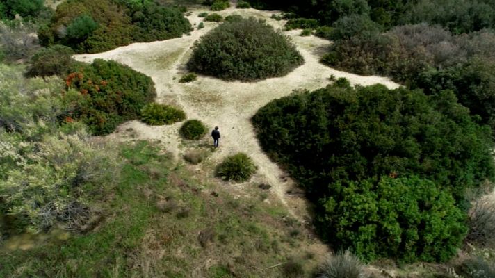 Aquí la Tierra - ¡Viva el amor por la naturaleza!