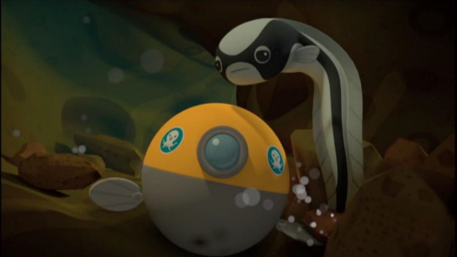 El cíclido convicto - Los Octonautas | Ver