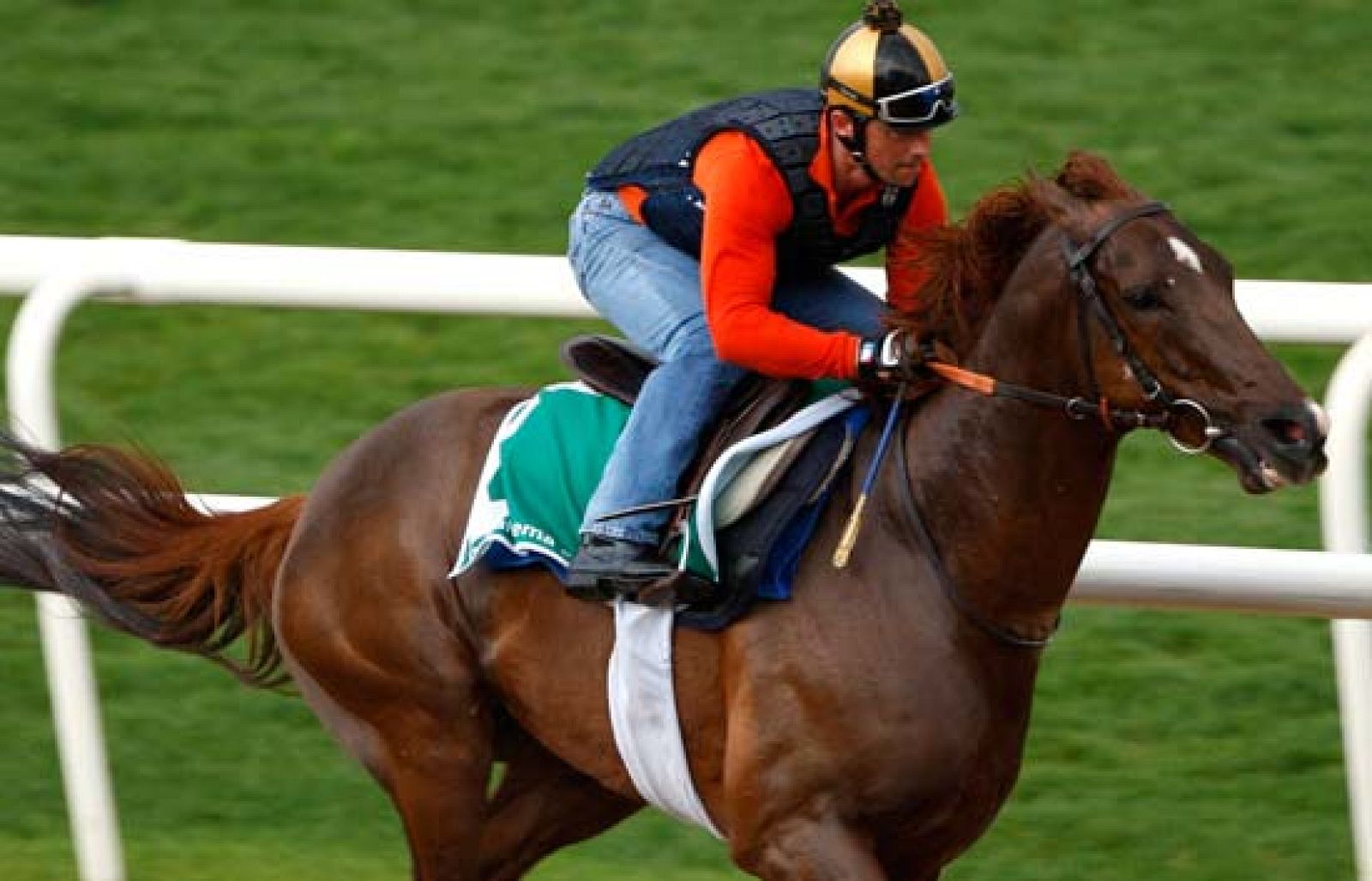 Arranca el Turf | Ver