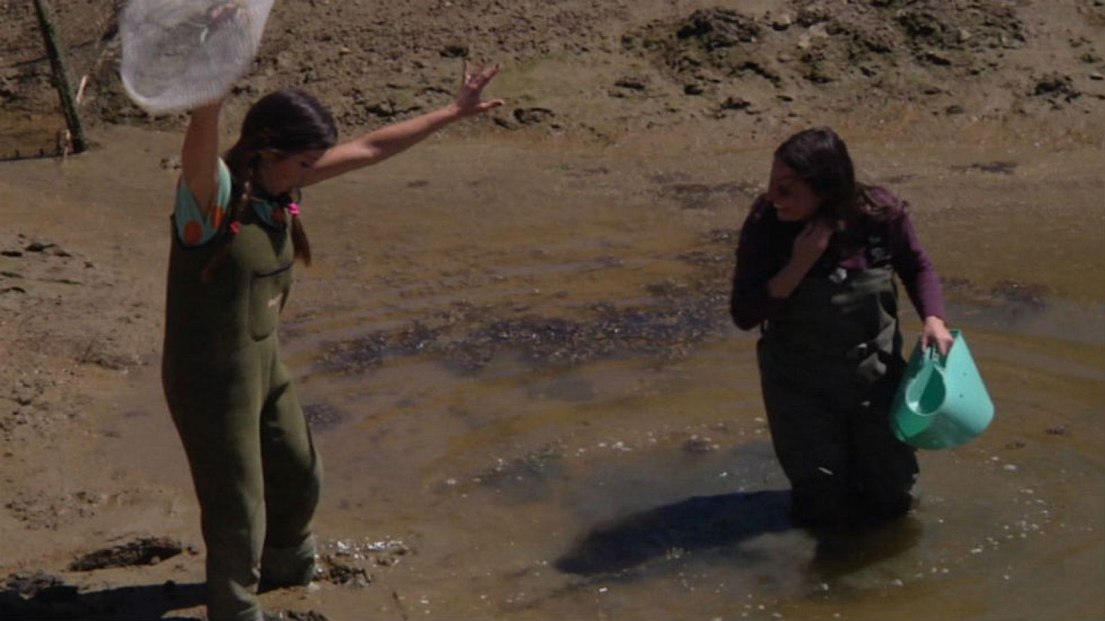 Alguicultura: la huerta marina