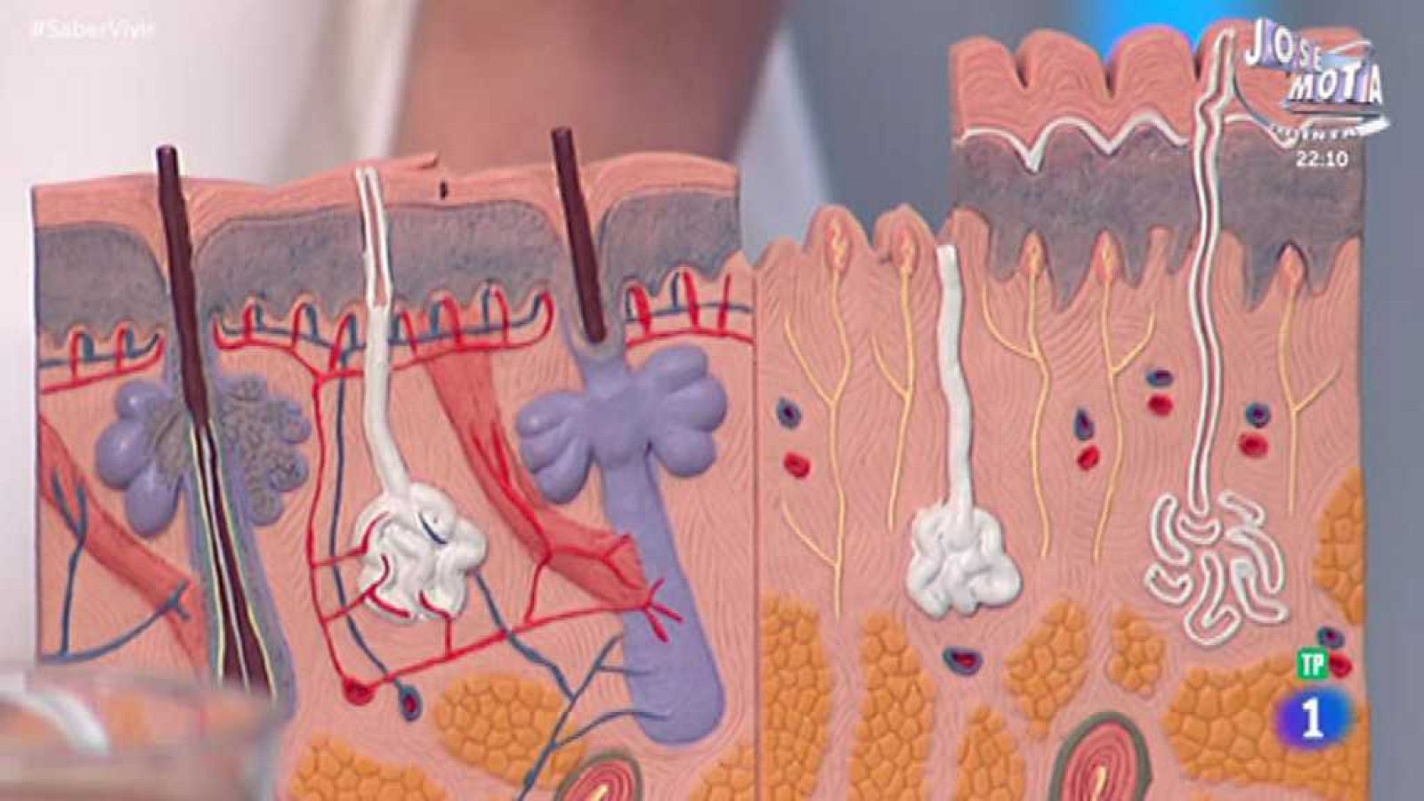 Saber vivir - 11/05/18 - ver ahora