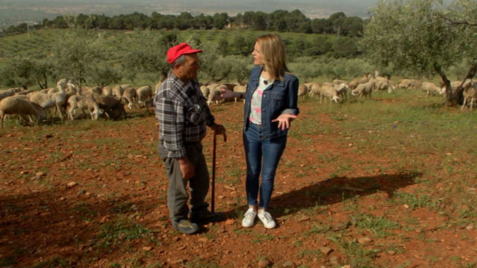 Trashumancia con vistas