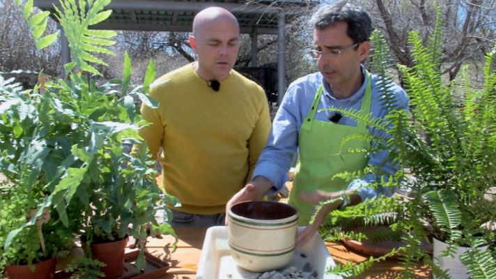 Aquí la Tierra - Un jardín histórico