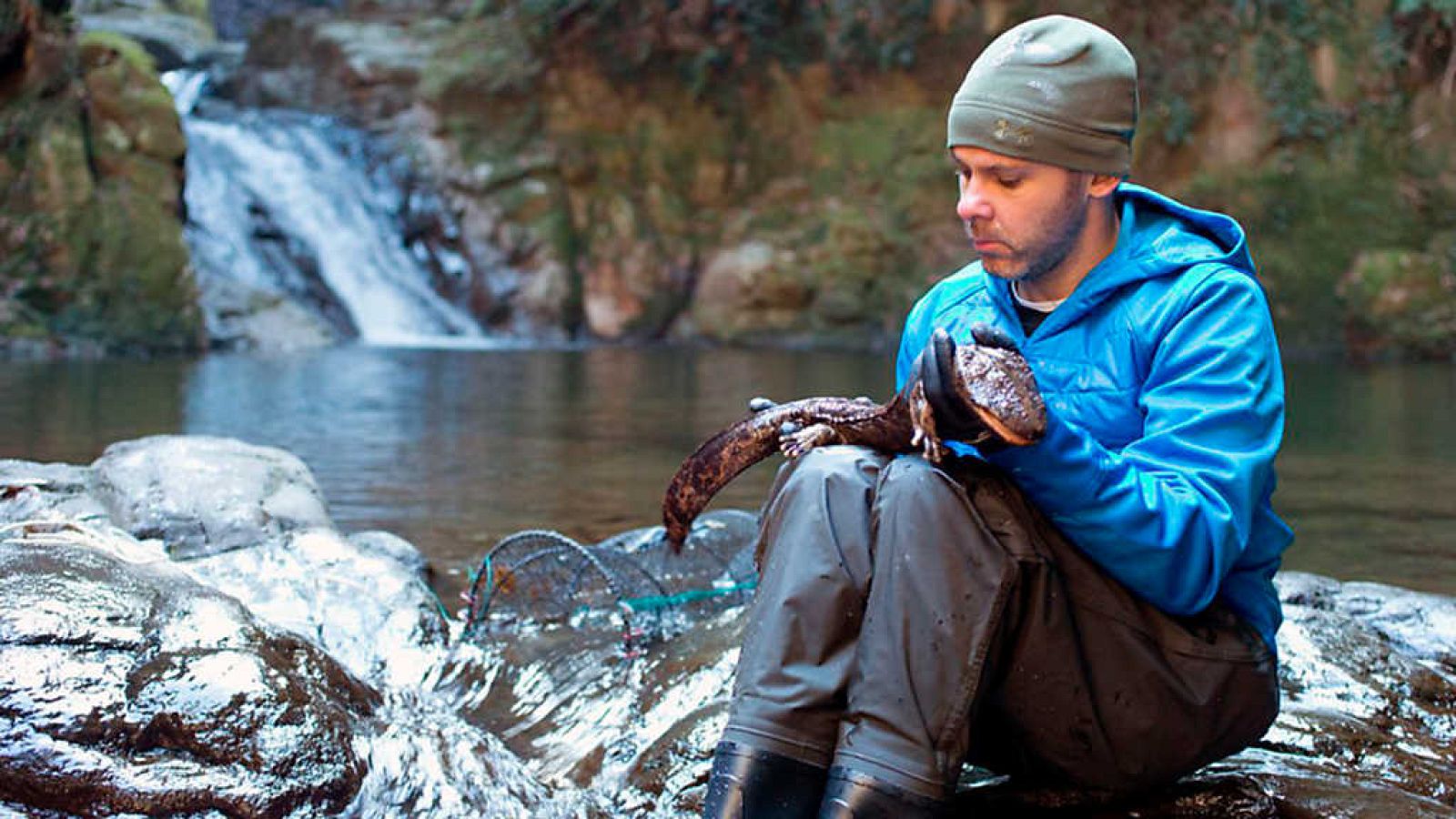 Otros documentales - Criaturas salvajes con Dominic Monaghan: Japón - ver ahora