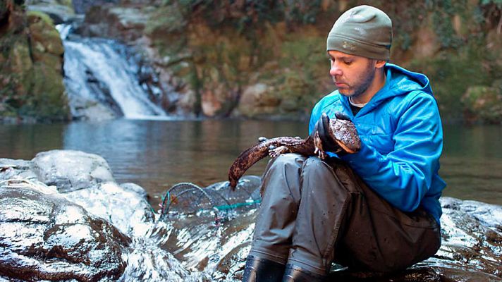 Otros documentales - Criaturas salvajes con Dominic Monaghan: Japón