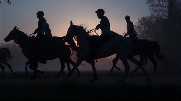 Evasión - T6 - Programa 9