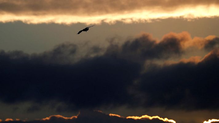 El tiempo - Posibilidad de lluvias fuertes a final del día en el Cantábrico