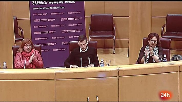 Parlamento - Violencia de género