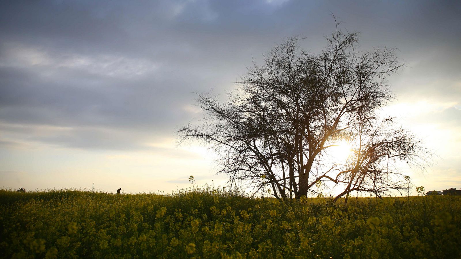 El Tiempo en la Comunidad de Madrid - 14/05/18
