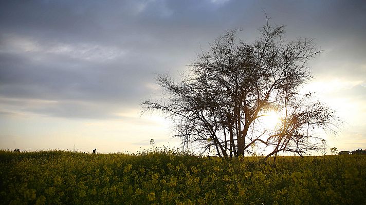 Informativo de Madrid - El Tiempo en la Comunidad de Madrid - 14/05/18