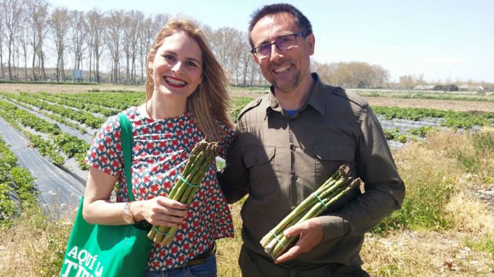 Aquí la Tierra - Coger espárragos tiene su truco