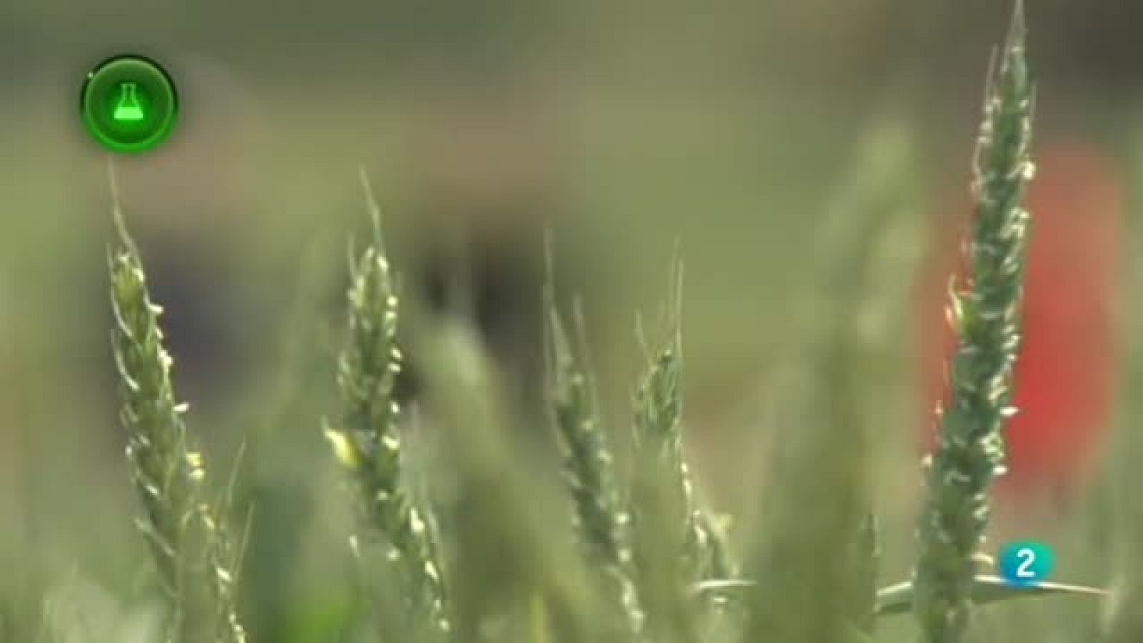 Laboratorio De Ideas Genvce