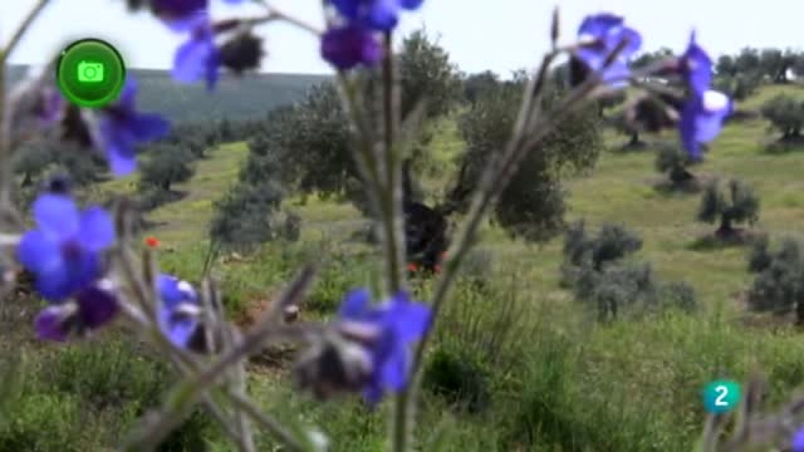 Turismo Rural La Pueblanueva