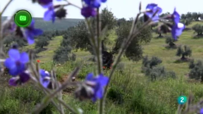 Agrosfera - La Pueblanueva